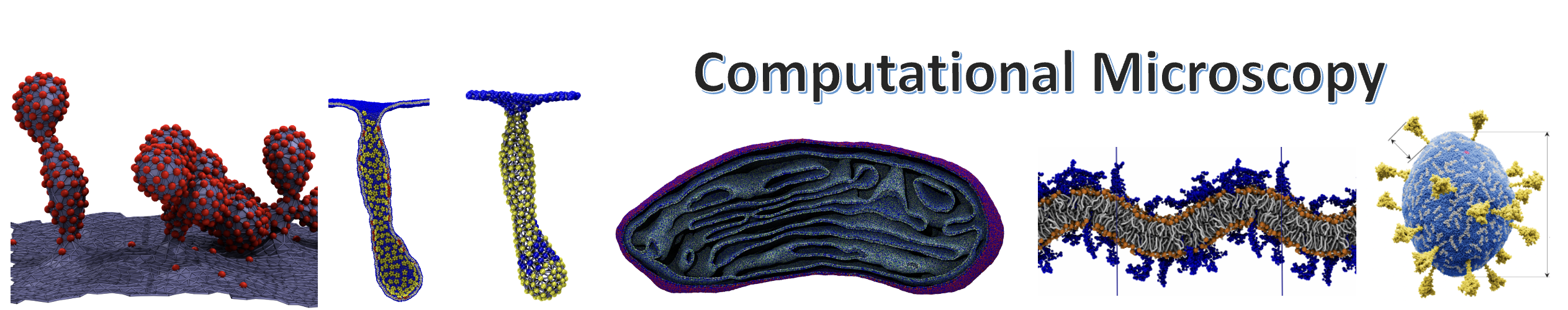 NBI Computational Microscopy Group feature image